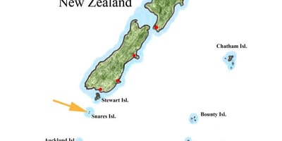 図ニュージーランドおよびその周辺の島々