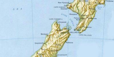 ウェリントンニュージーランドの地図